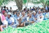 Wanawake Wakatoliki Tanzania (WAWATA) Jimbo Kuu Katoliki la Dar es Salaam, wakiwa katika Adhimisho la Misa Takatifu wakati wa Hija yao iliyofanyika katika Kituo cha Hija Bagamoyo, Jimbo Katoliki la Morogoro. (Na Mpigapicha wetu)