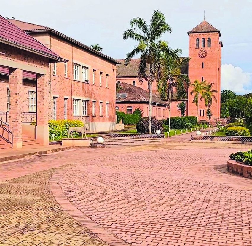 Kuibuka kwa Mashirika ya kuimarisha Dini Katoliki