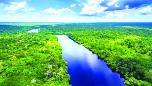 Uoto wa asili; Tiba ya mabadiliko tabianchi